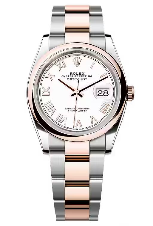 Rolex Datejust 36 Everose Rolesor White Roman Dial Smooth Bezel Oyster