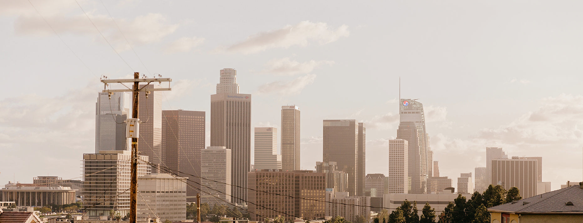 Gamzo, based in Los Angeles